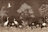 Image of 