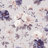 Image de 