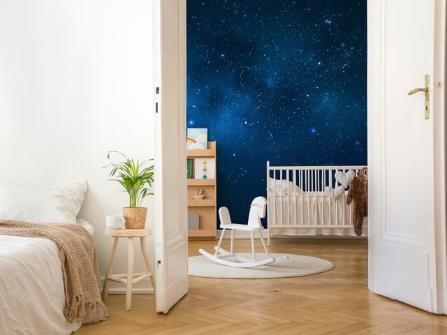 Immagine di 