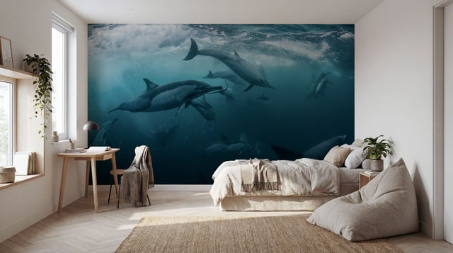 Immagine di 