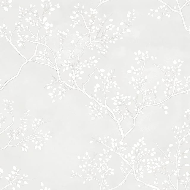 Image of