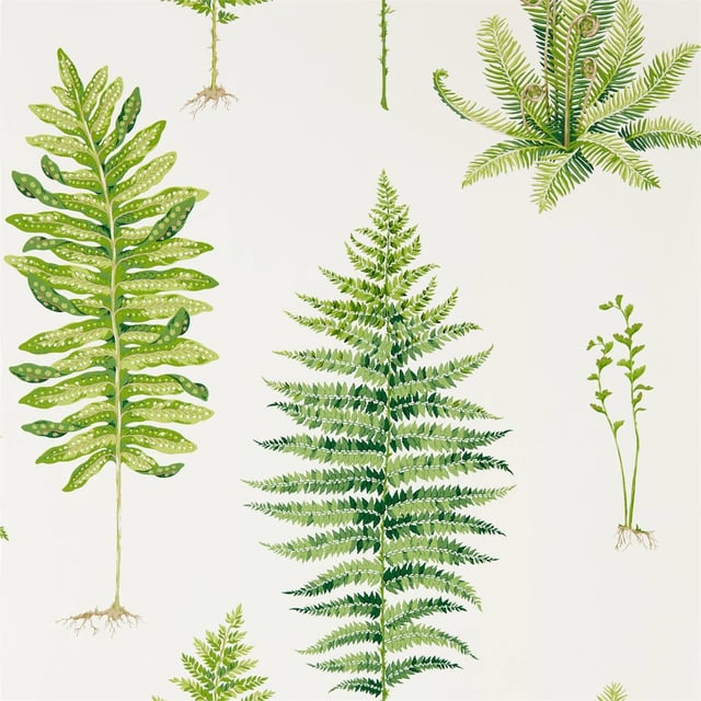 Image of 