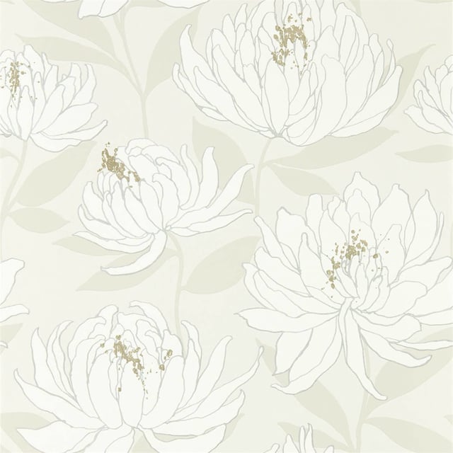 Image of 
