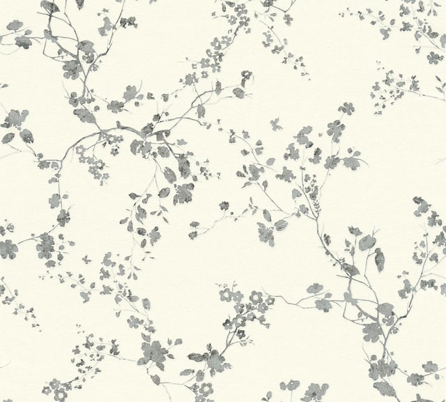 Image of 