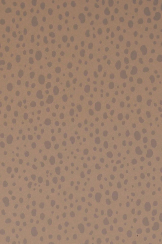 Image de 