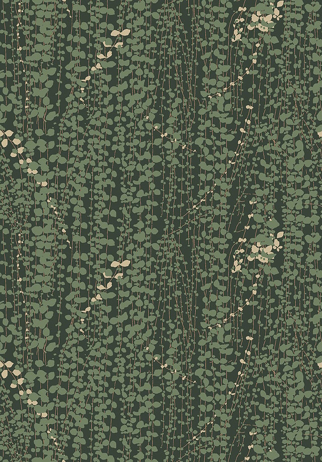 Image of 