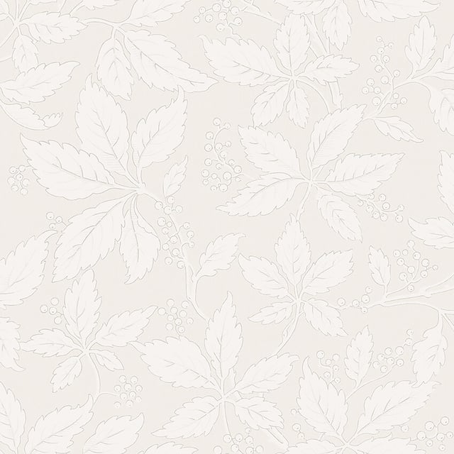 Image of 