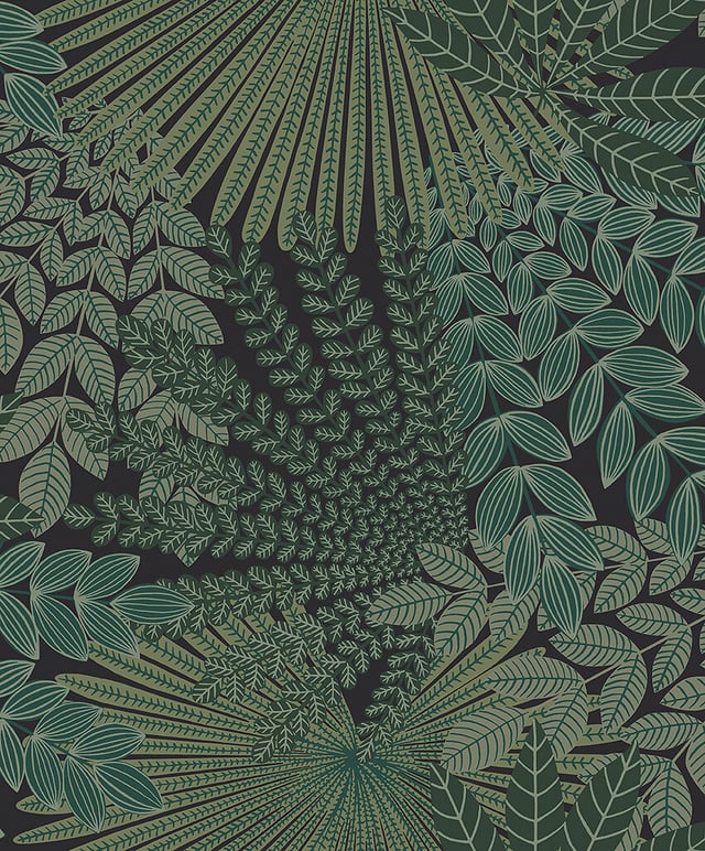 Image of 