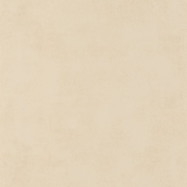 Bilde av 