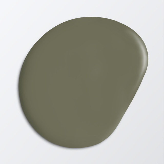 Image of 