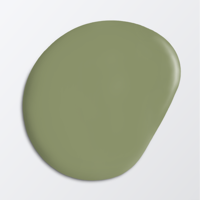 Image of 