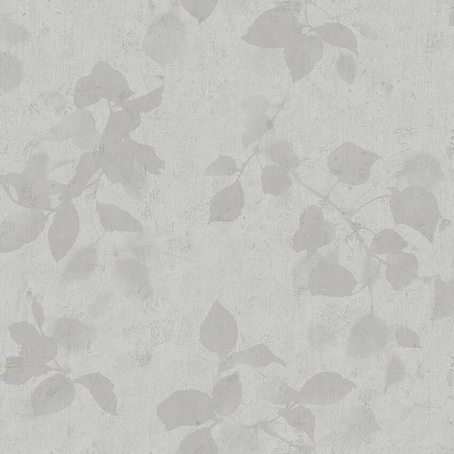 Image of 