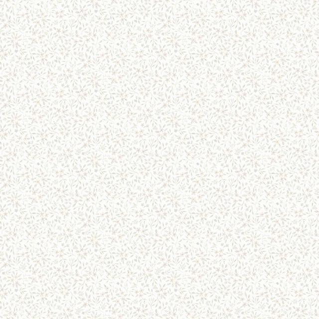 Image de 