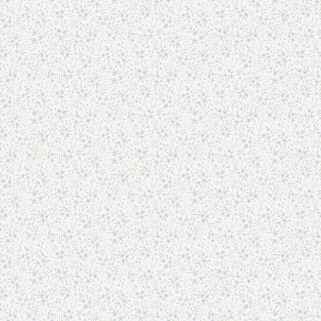 Image de 