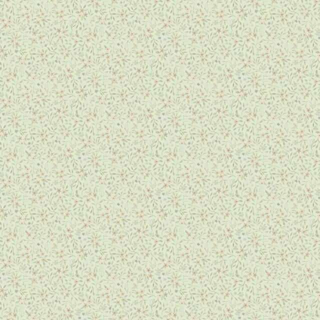 Image de 