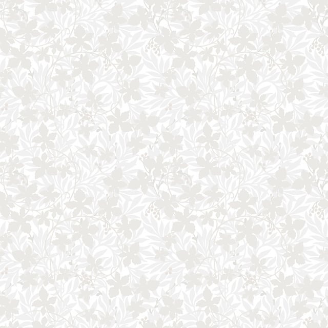 Image of 