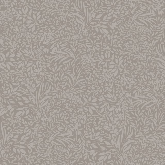 Image de 