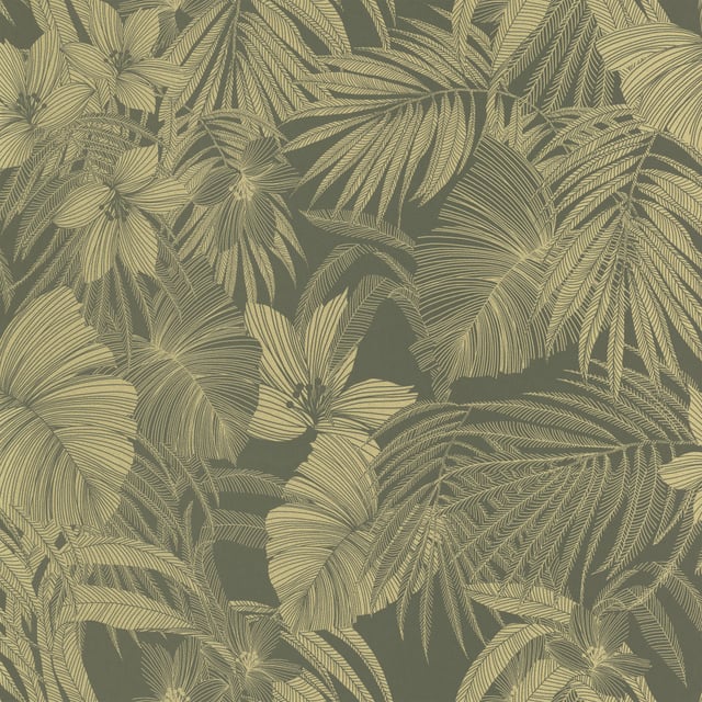 Image of 