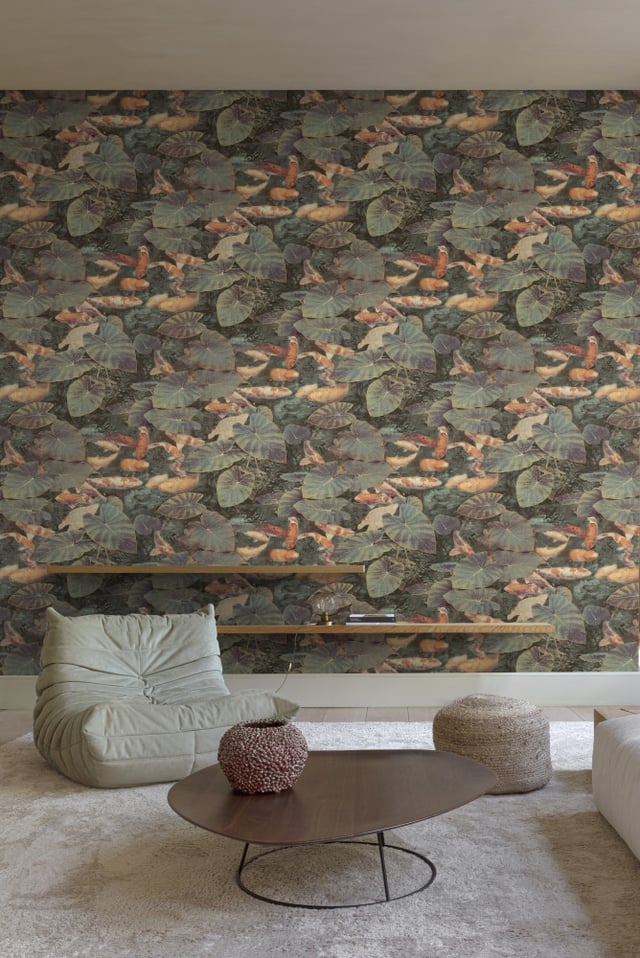 Image of 