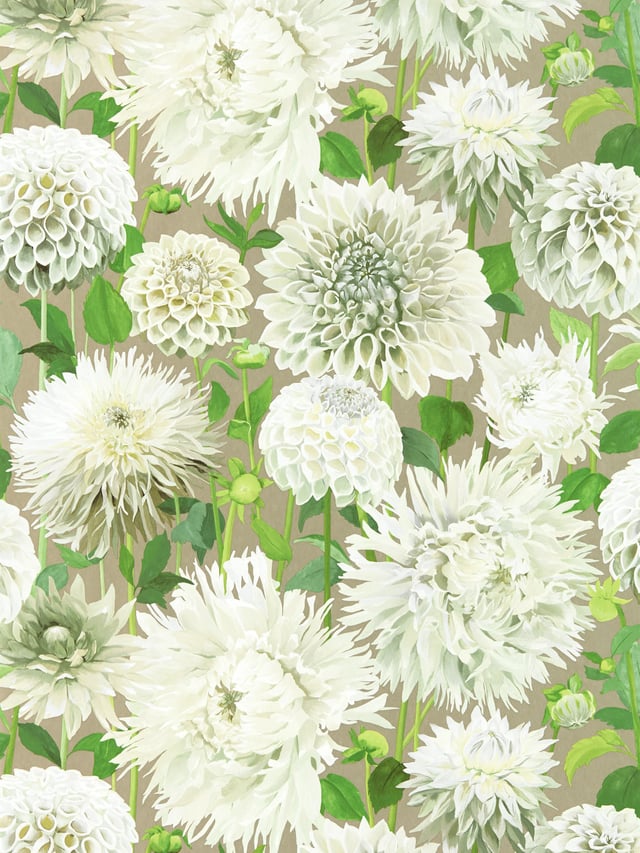 Afbeelding van 
