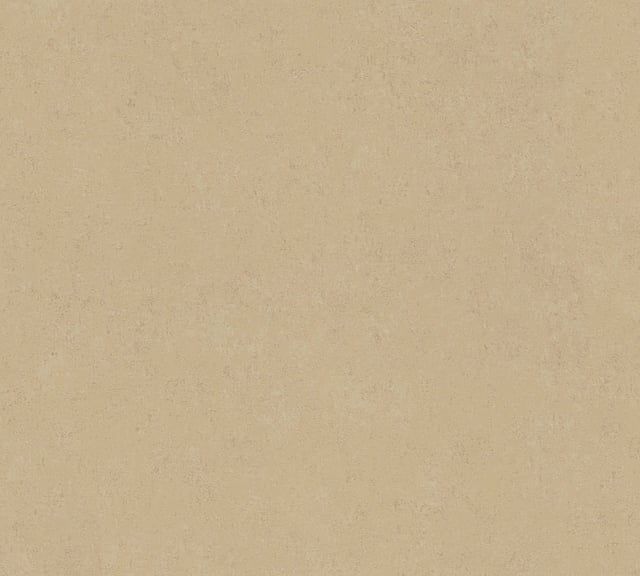 Image of 