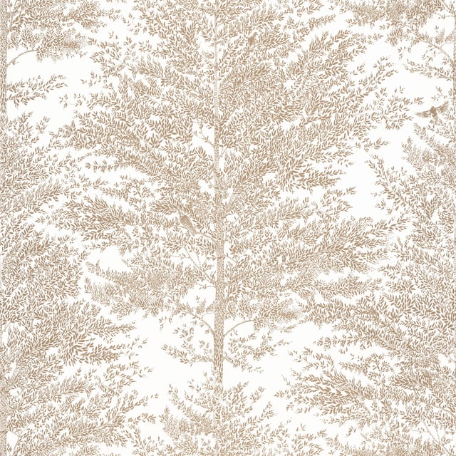 Image of 