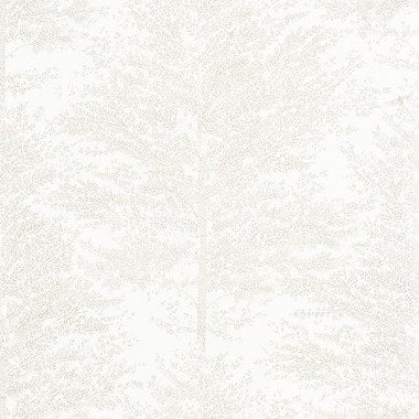 Image de 