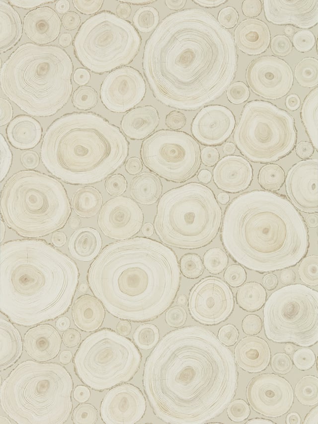 Image of 