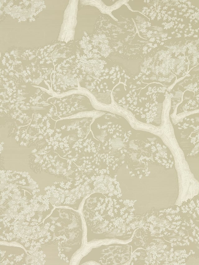 Image of 