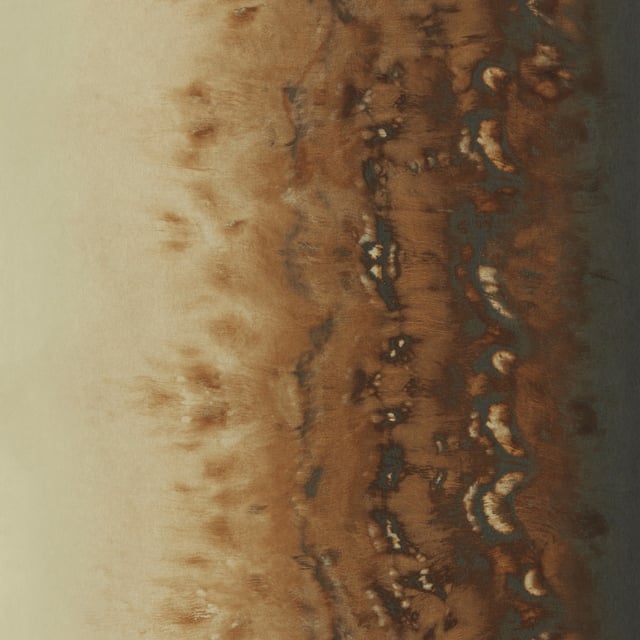 Image of 