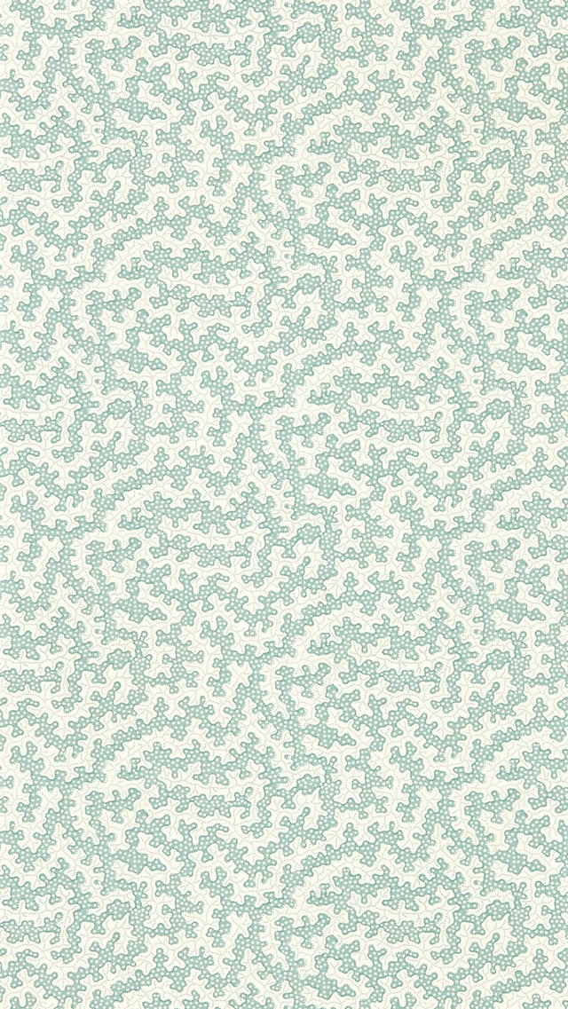 Image of 