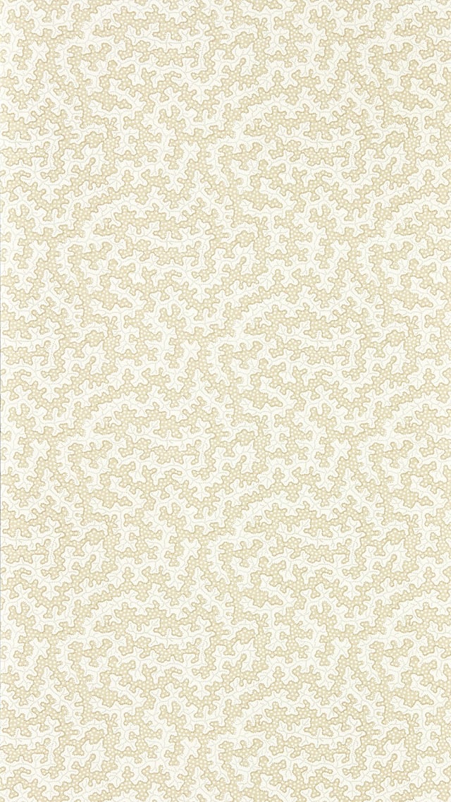 Image of 