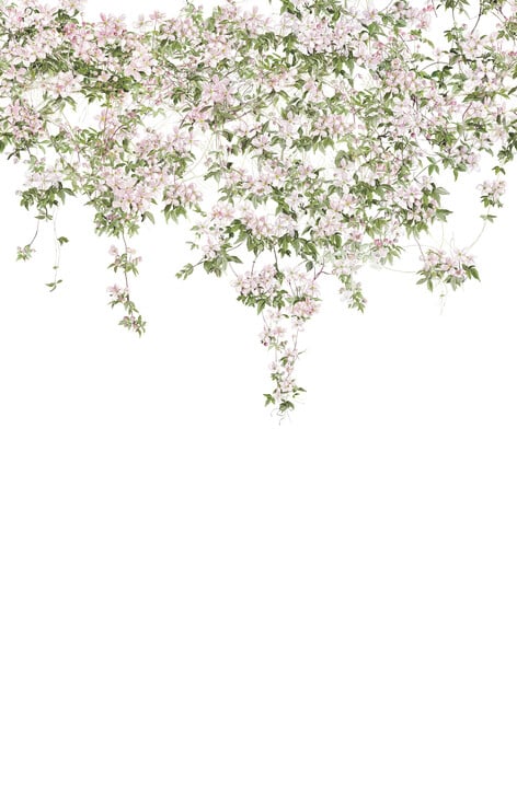 Image of 