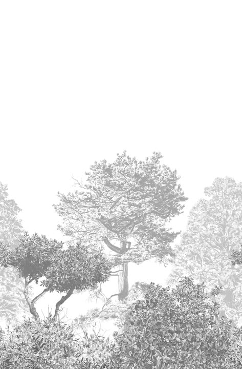 Image of 