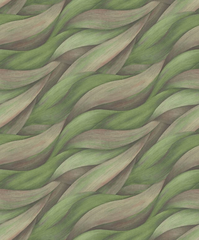 Image of 