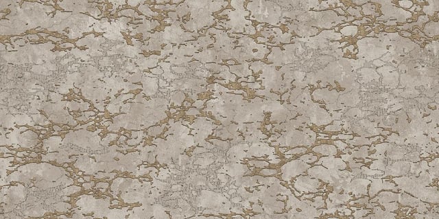 Bilde av 