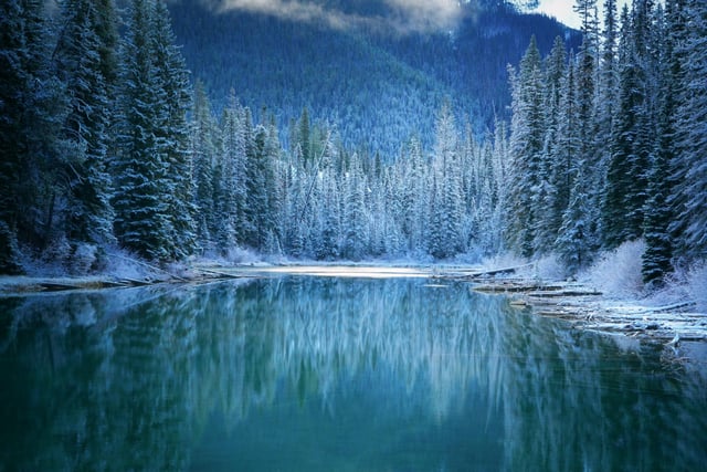 Image of 