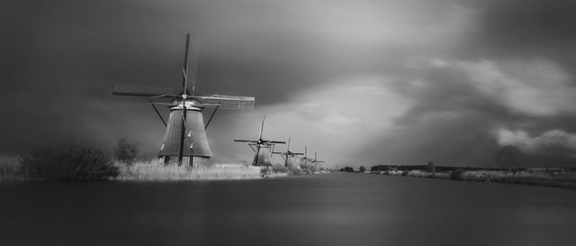 Afbeelding van 