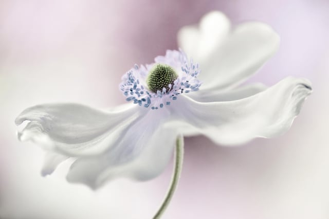 Image de 