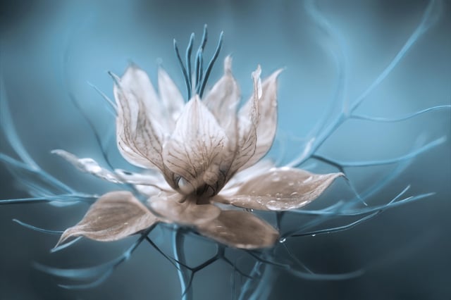 Image de 