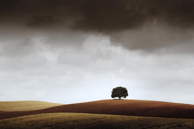 Image of 