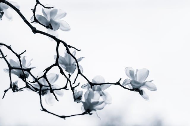 Image de 