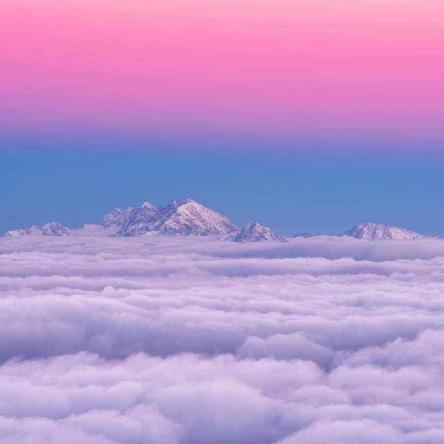 Image of 