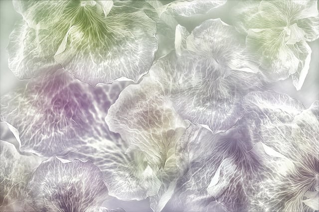 Image de 