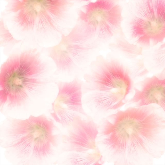 Image de 
