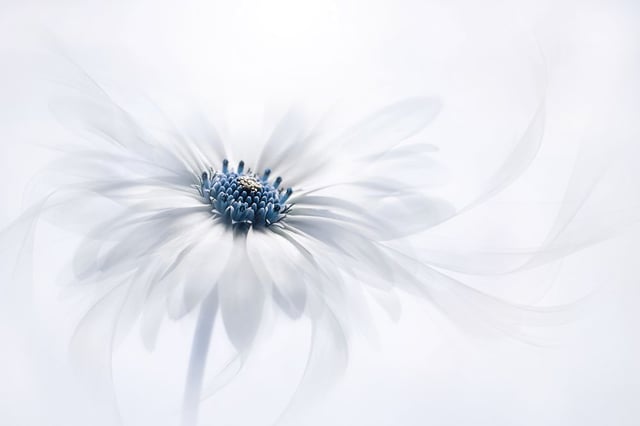 Image de 