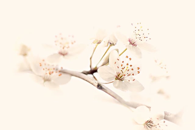 Image de 