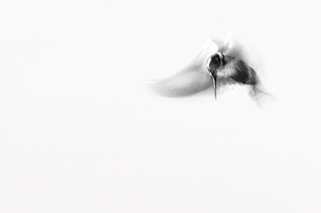Image de 