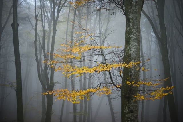 Image de 