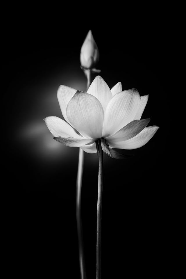 Image de 